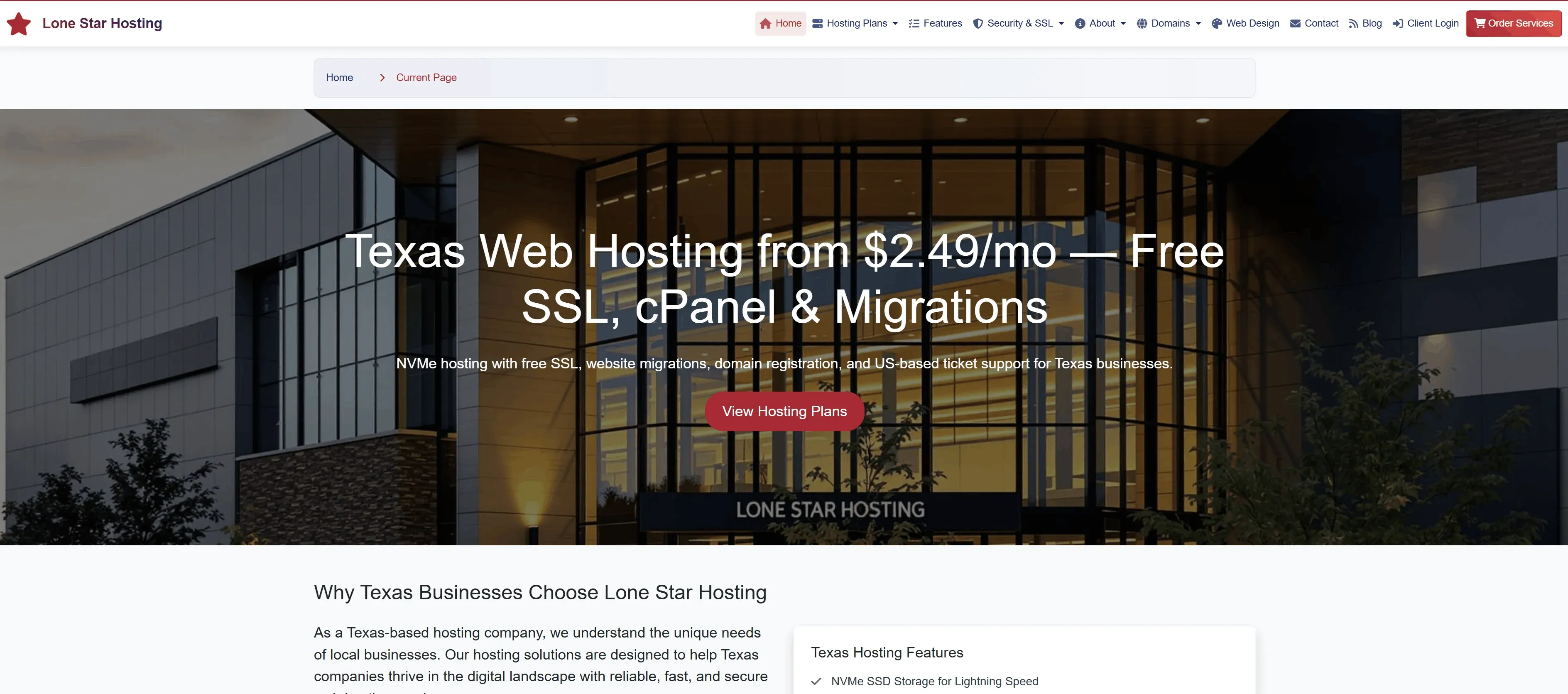 Lone Star Hosting website screenshot