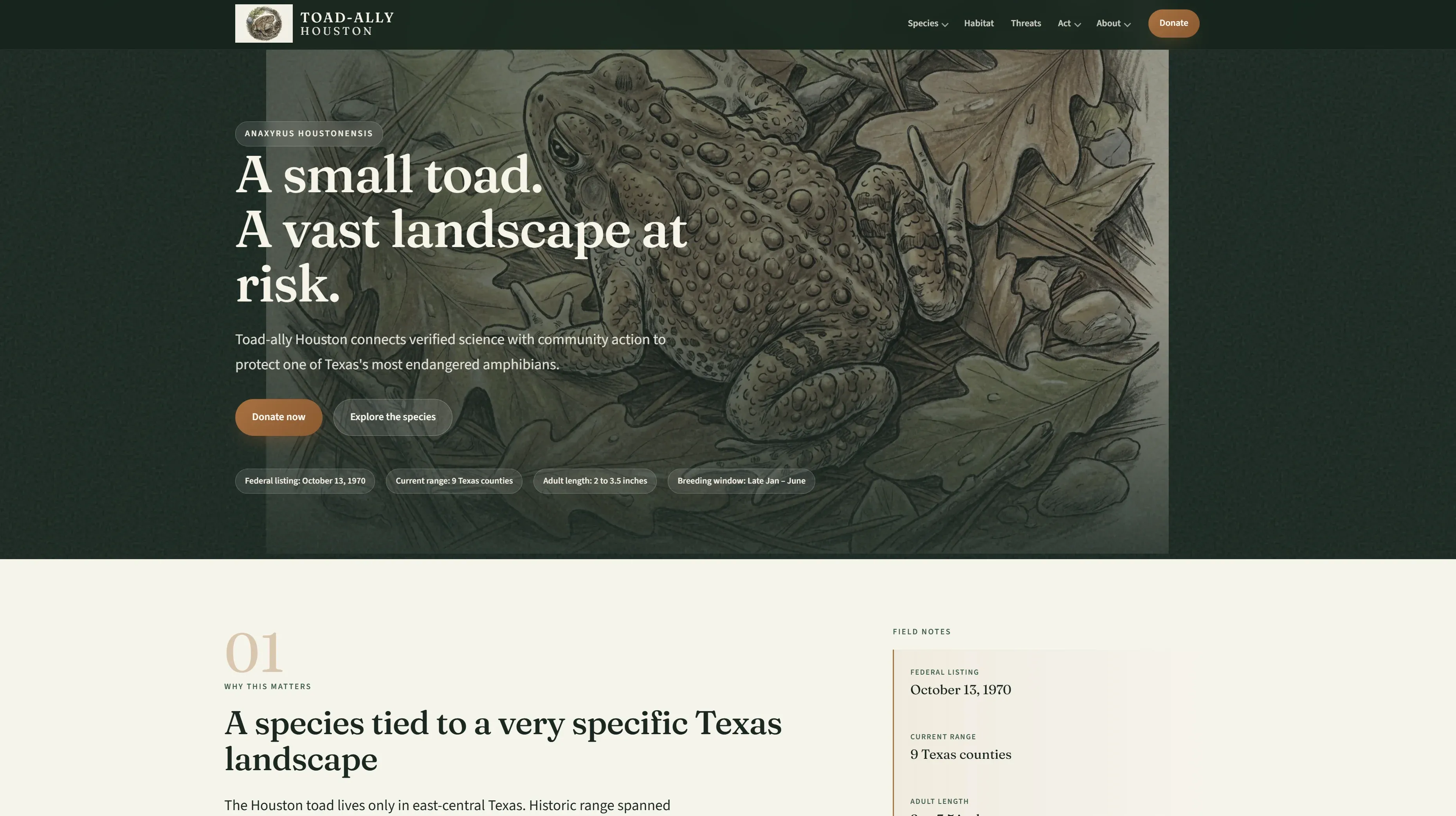 Toadally Houston nonprofit website screenshot